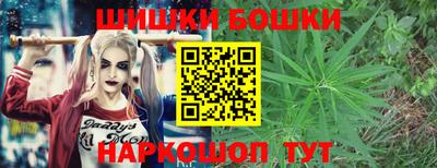 прущие грибы Апшеронск