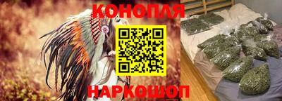 прущие грибы Апшеронск