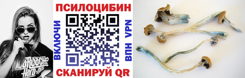 Псилоцибиновые грибы Cubensis  маркетплейс клад  Топки  mega ССЫЛКА 