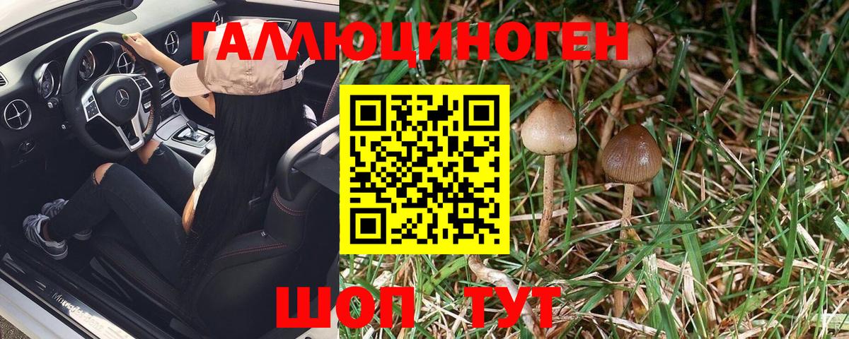 ГАШ  Бошки Шишки  Канабис  МЕТ  Топки  Вейп ТГК  COCAIN  МДМА  МЕФ кристаллы  Меф  