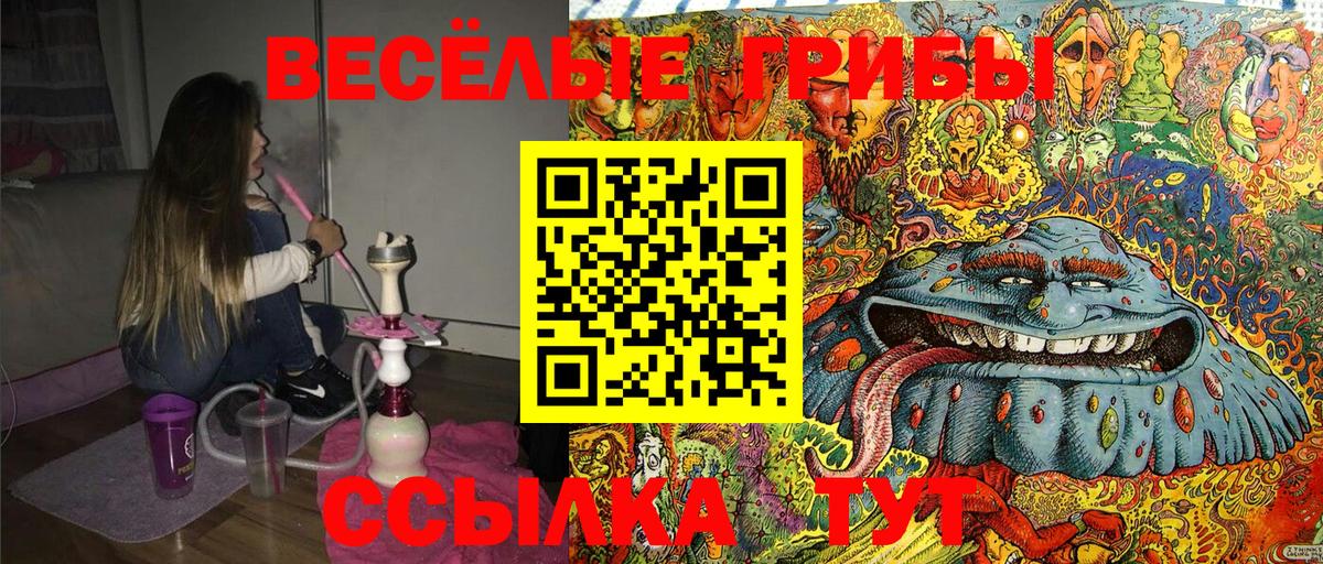 Псилоцибиновые грибы MAGIC MUSHROOMS  Топки 