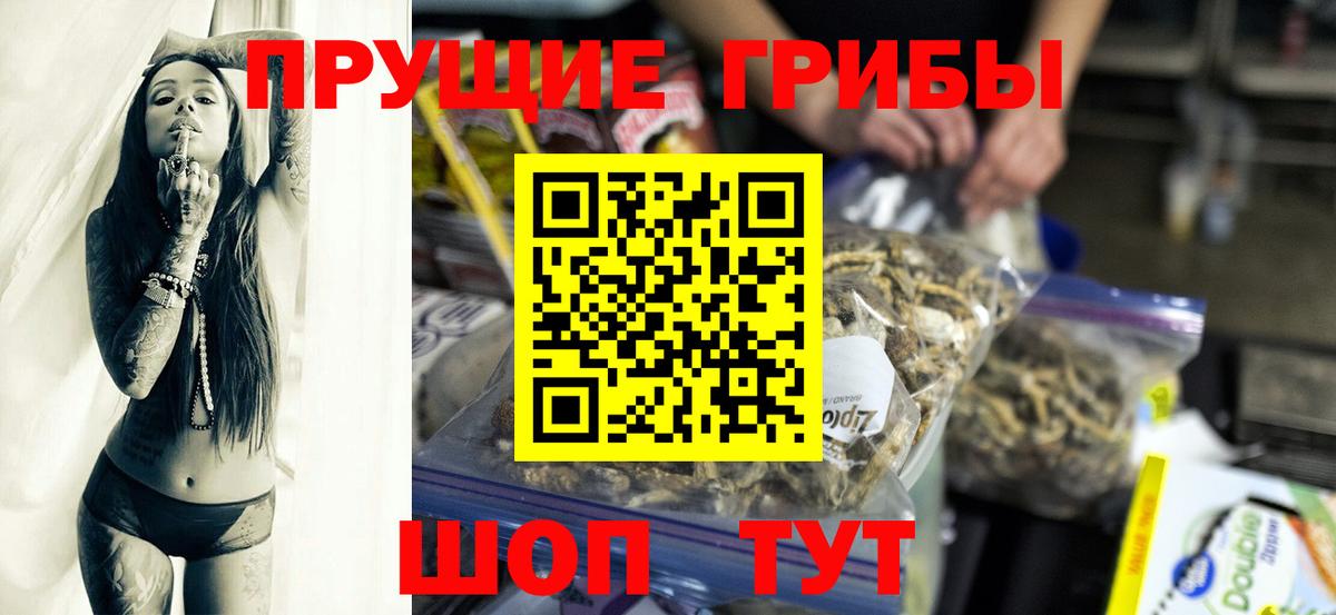 Галлюциногенные грибы Psilocybe Топки